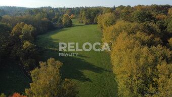 Pronájem rozlehlé louky, Ježdíkova skála, 27014m2, Těptín, P - 6