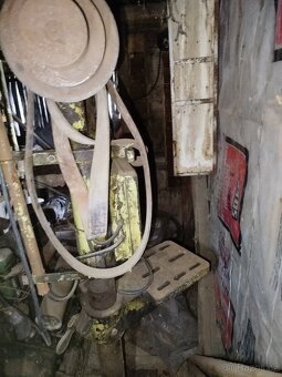 Vrtačka sloupová - 6