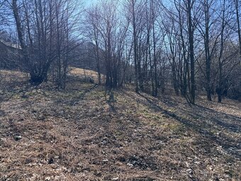 Prodej stavebního pozemku, 5589 m², U Sv. Rocha, Zlaté Hory. - 6