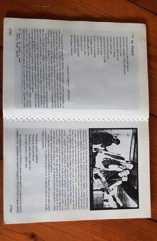 Prodám knihu Kytary a řev, aneb, Co bylo za zdí - 6