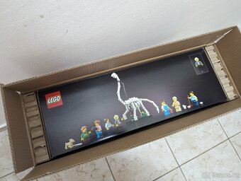 LEGO Icons 10326 Přírodovědné muzeum - 6