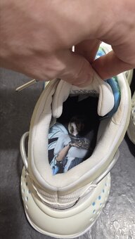 Limitovaná edice adidas - dámské, 38.5 - 6