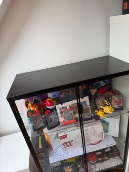 Vitrína IKEA RUDSTA - 6