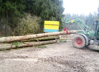 Kleště na klády mechanické, Drapák, 2t - 6