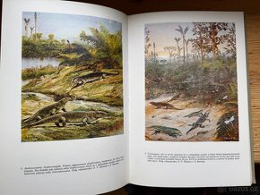 Paleontologie obratlovců. V. Špinar, Zdeněk Burian - 6