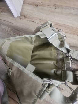 Chestrig coyote - 6