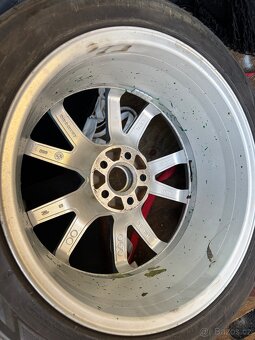 Spider r17 - 6