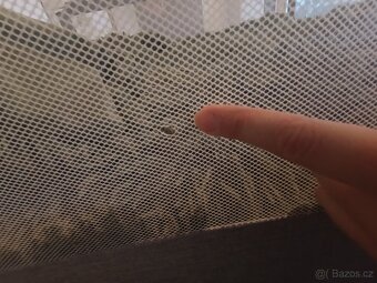 Zábrana na celou postel - 6