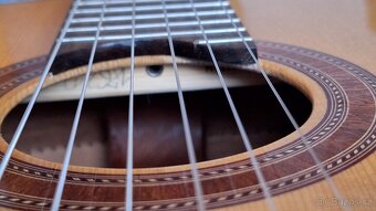 Celomasivní  4/4 klasická kytara Martinez MCG-118S - 6