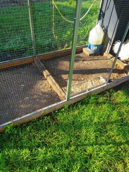 Klec pro kuřata s výběhem - 6