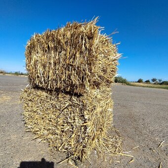 Malé hranaté balíky pšeničné slámy - 6