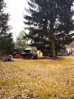 Červený Kostelec - zahrada 380 m2 - 6