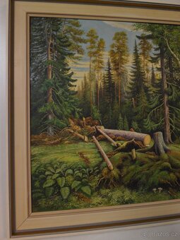 Lesní zákoutí , František Červený - 6