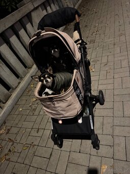 Kocarek pro pejsky psy Fikago - 6