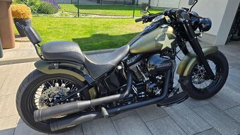 Softail Slim S 2017 SCREAMIN EAGLE 117 - 6