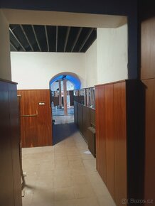 Penzion - 6