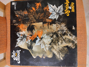 Prodám gramofonové desky - 6