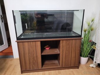 AKVARIUM - 6