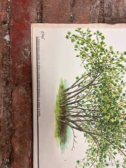 Školní plakáty 100 ks - 6