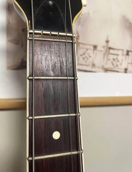 Kytara Musima 1657 - 6