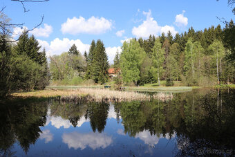 Dům, samota na Šumavě, u lesa, vlastní rybník a pozemek - 6