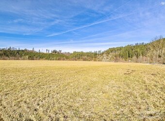 Prodej dvou exkluzivních pozemků, 13479m2, Vlastějovice - 6