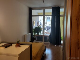 Pronájem bytu Jihlava - 6