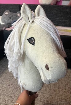 Hobby horse - 6