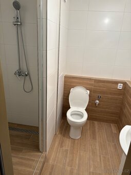 Pronájem bytu 2kk Rakovník - 6