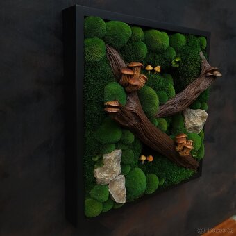 Mechový obraz / obraz ze stabilizovaného mechu - 6