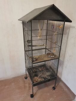 Dvě mladé korely s velkou klecí - 6