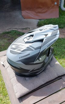 Helma Cassida - 6