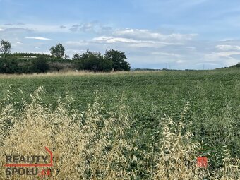 Prodej, pozemky/bydlení, 788 m2, Hustopeče, Břeclav [ID 7392 - 6