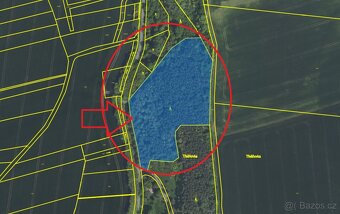 Prodej lesního pozemku k.ú. Vinaře - 6