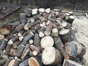 Palivové dřevo Měkké - Jehličnaté - 6