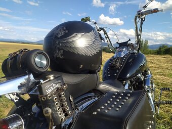 Yamaha XVS 650 dragstar custom Black horse. - 6