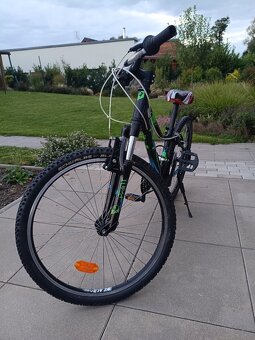 Superior Paint 24 - 6