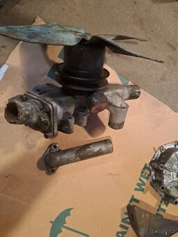 Felicia octavia spartak veterán - 6