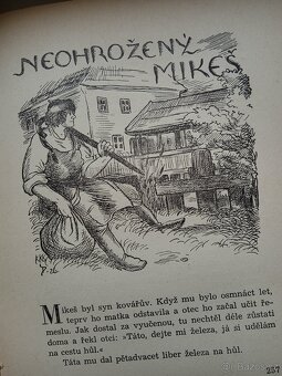 B.Němcová - Zlatá kniha pohádek - sběratelská kniha - 6