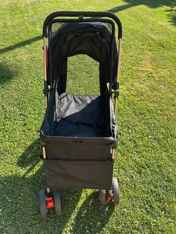 Kocarek pro psy - 6