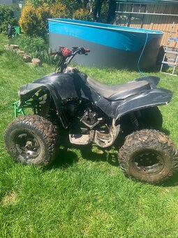 Atv 125 cc warrior - 6