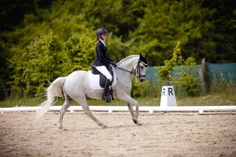 TOP sportovní pony B klisna - 6