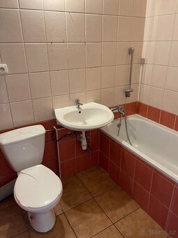 Pronájem bytu 1+1, 42 m2, Milotice nad Opavou - 6