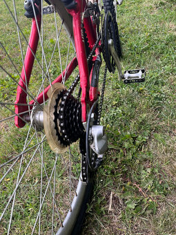 kolo Leader Fox Spider - 6