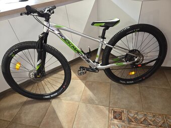 ROCK MACHINE BLIZZ - 6