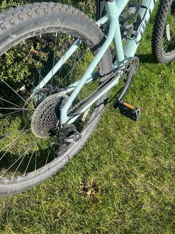 Kolo SPECIALIZED - 6