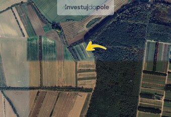 Prodej podílu 1/2 pole 571 m², Moravský Písek - 6
