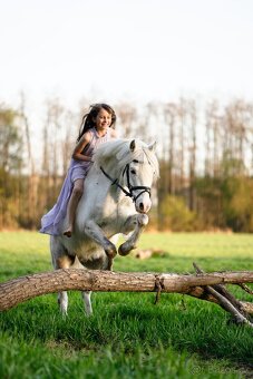 Pony valach kat. A - 6