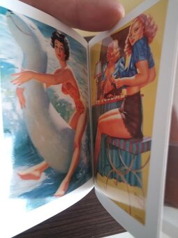 Pin Ups Taschen / art Book - 6