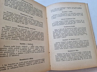Kuchařka Zlatá kniha českých hospodyněk 1923 Kožmínová - 6